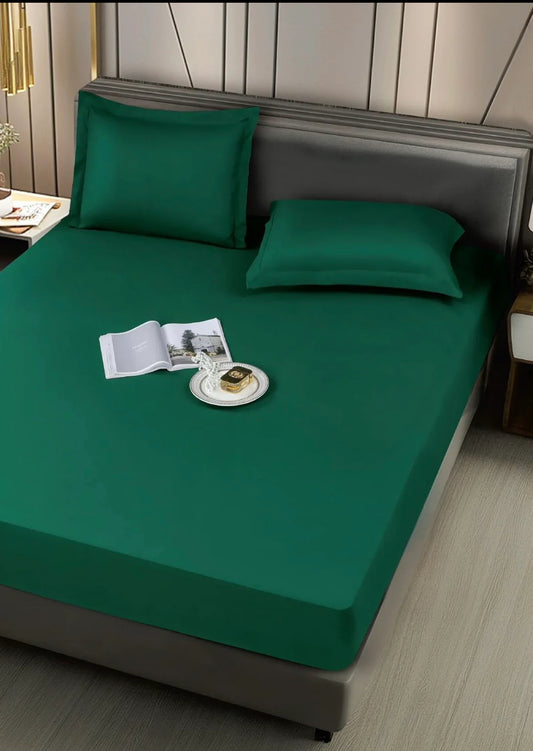 Husa Impermeabila 180/200 cm+2 fete de perna